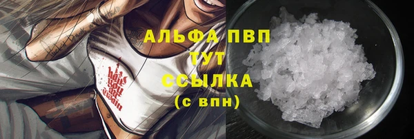 PSILOCYBIN Армянск