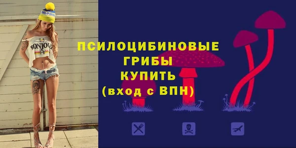 бошки Арсеньев