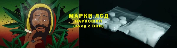 PSILOCYBIN Армянск