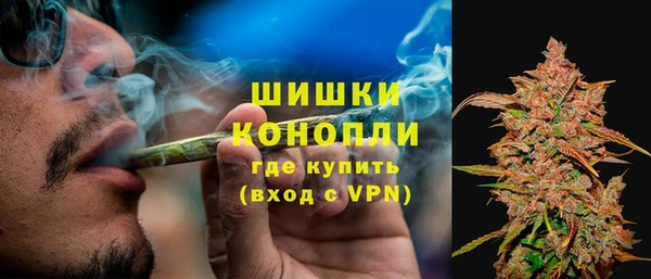 Альфа ПВП Аркадак