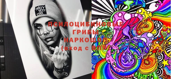 PSILOCYBIN Армянск