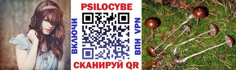 Галлюциногенные грибы мухоморы Купить закладки Печоры